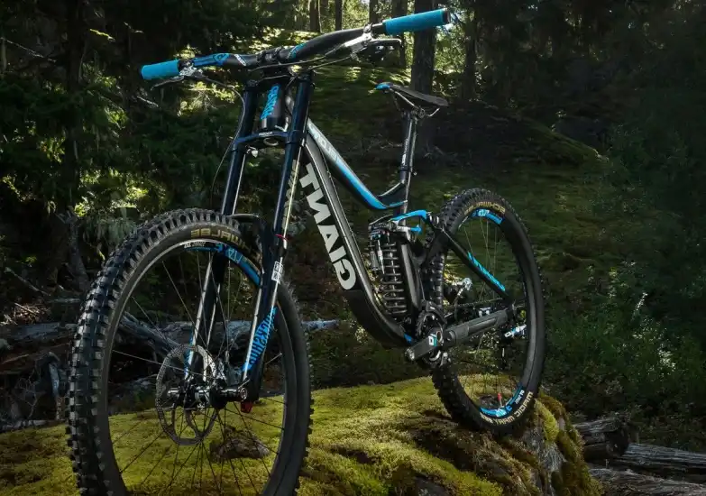 About VeloVibe